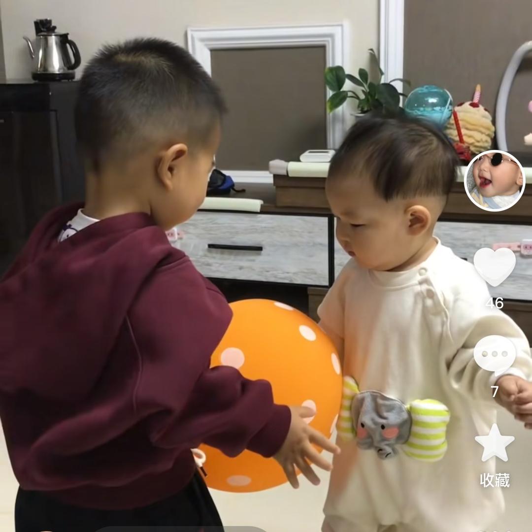 毛毛虫