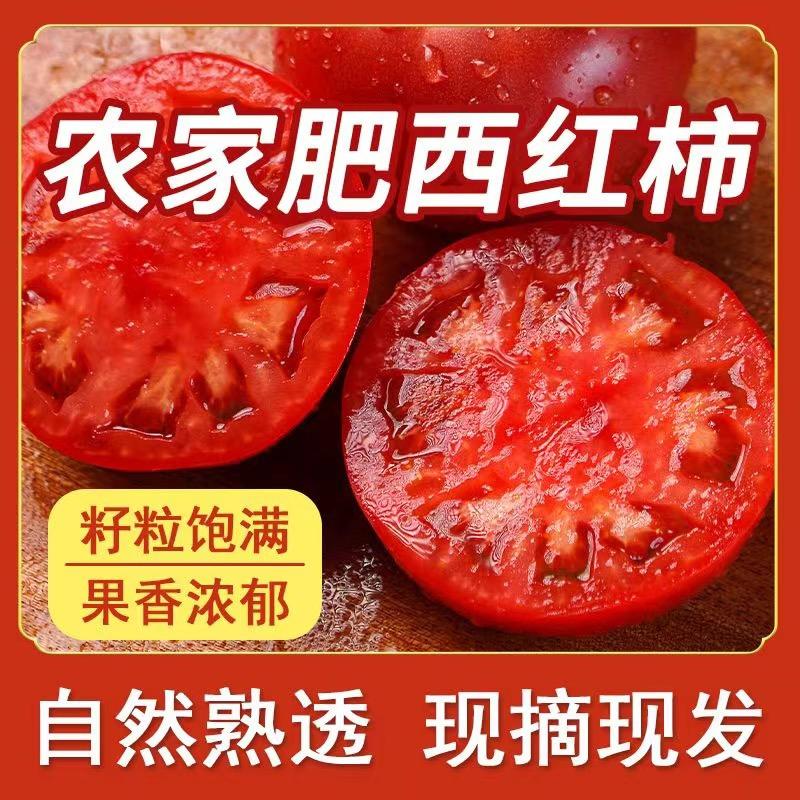 小朋农场