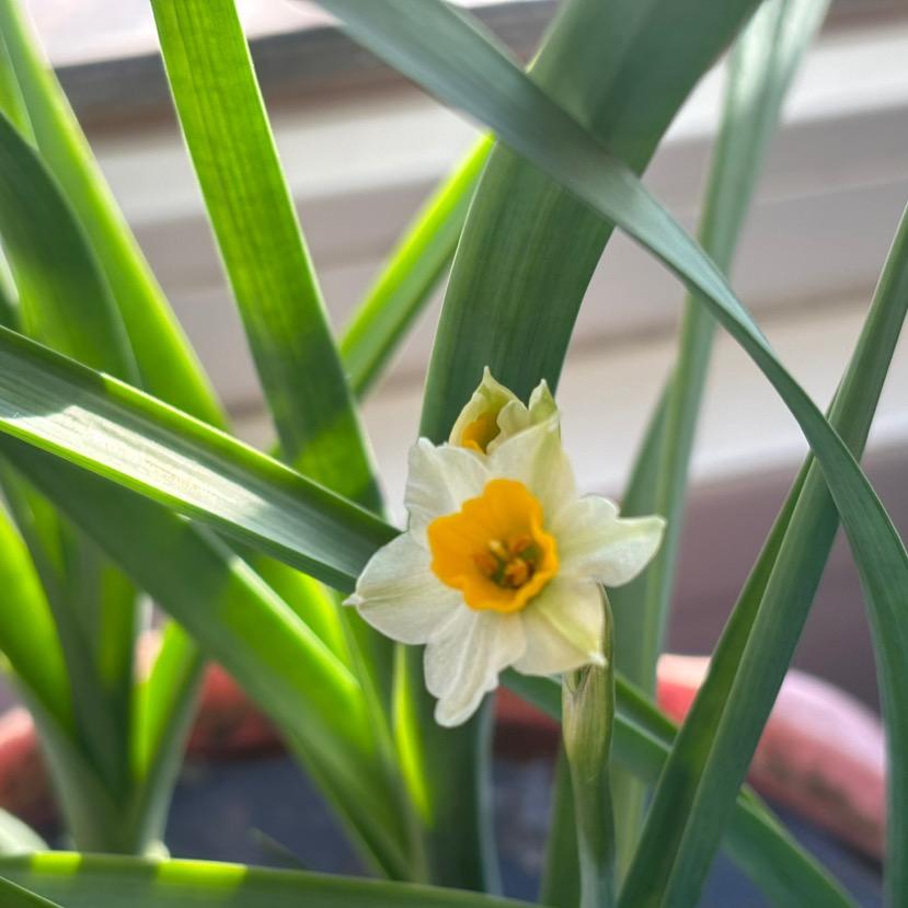 迎着海风看落日