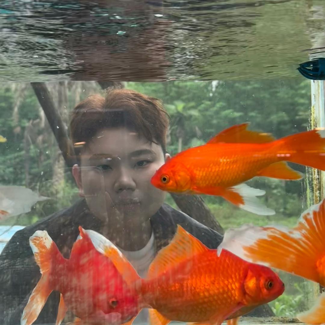 啊傅💥