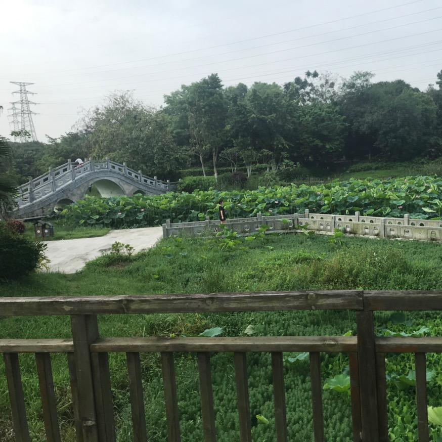 PT先生