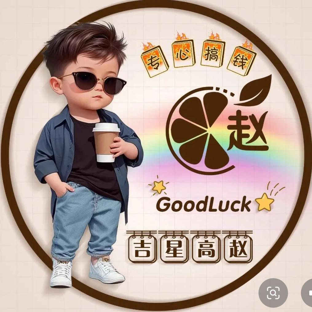 赵财进宝8666
