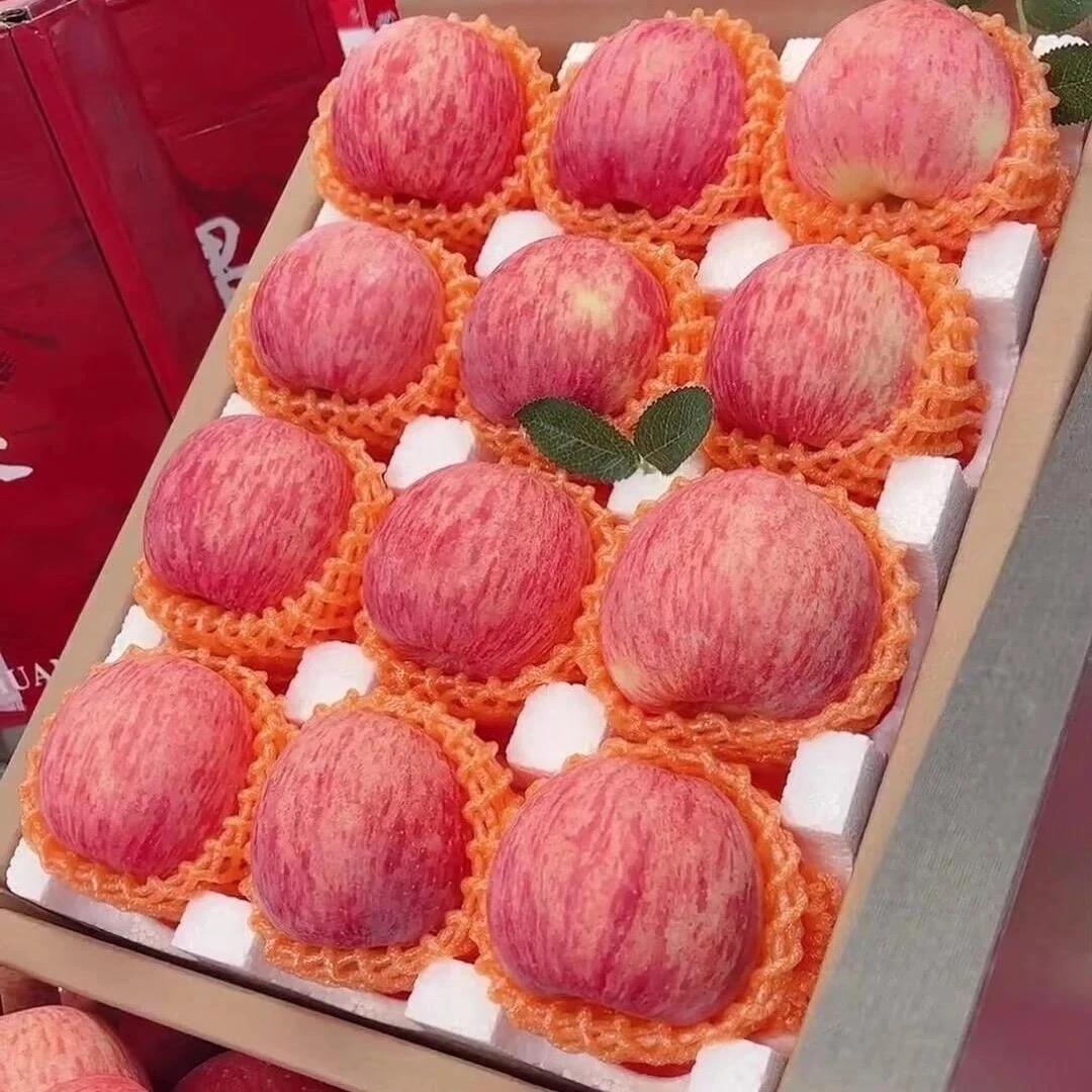 红富士苹果新果上市2