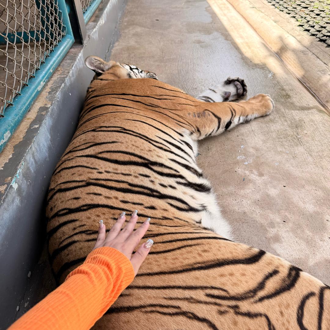 168正方形的圆儿