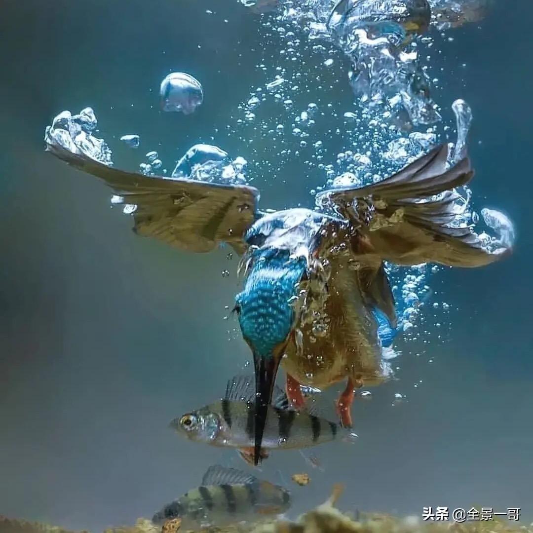 非常