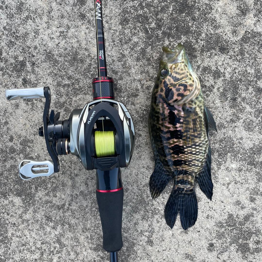 玩路丧志LURE🎣