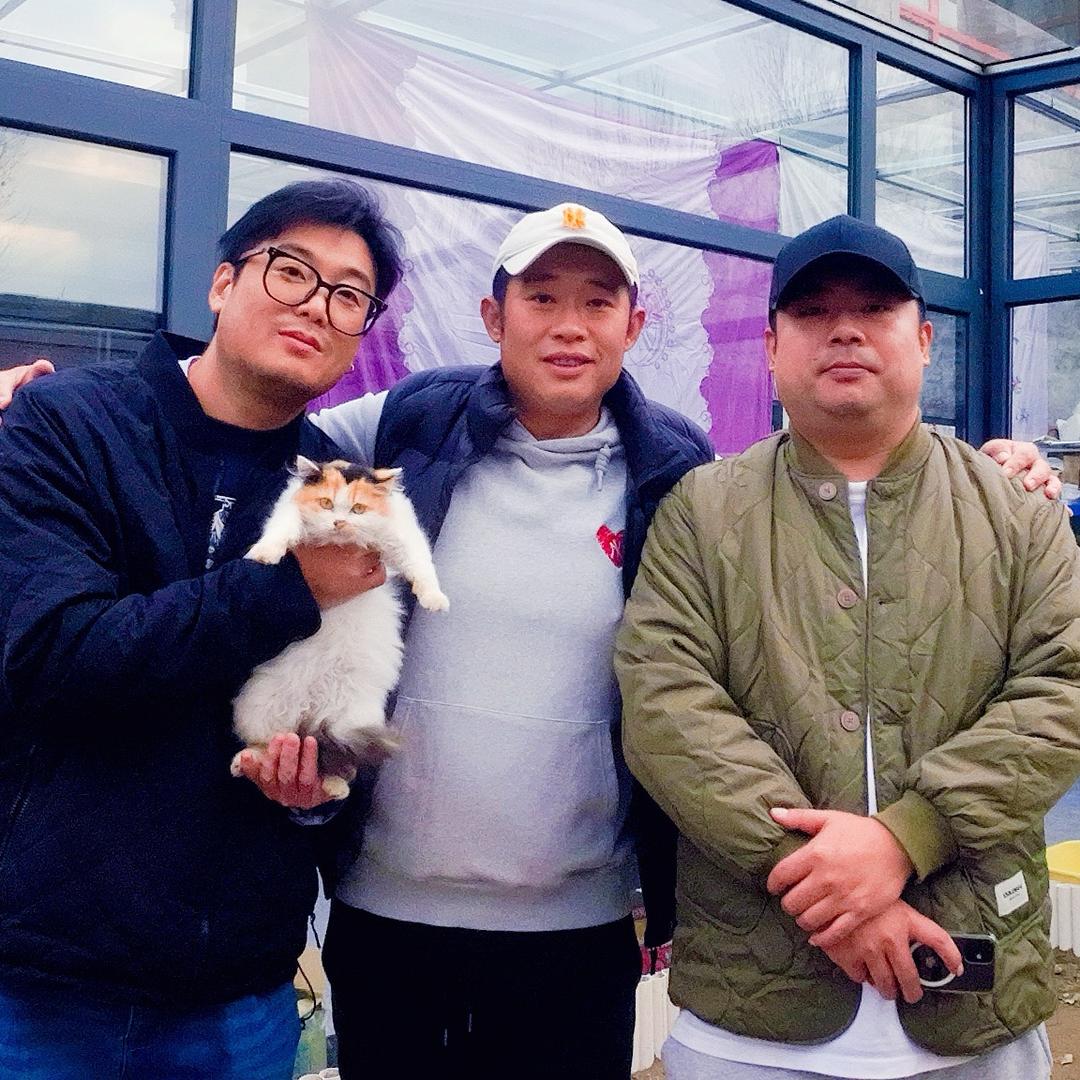 糖三角儿
