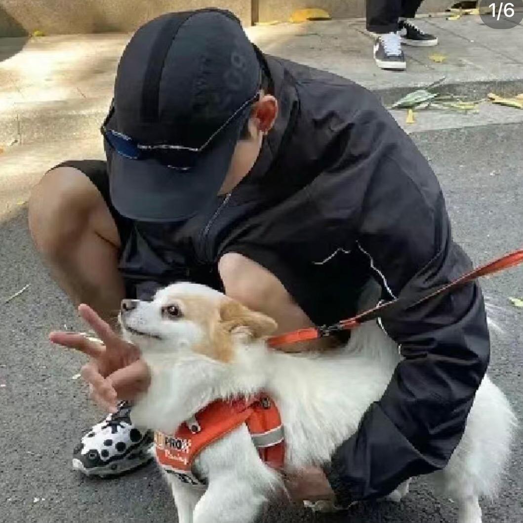 滨海好柿