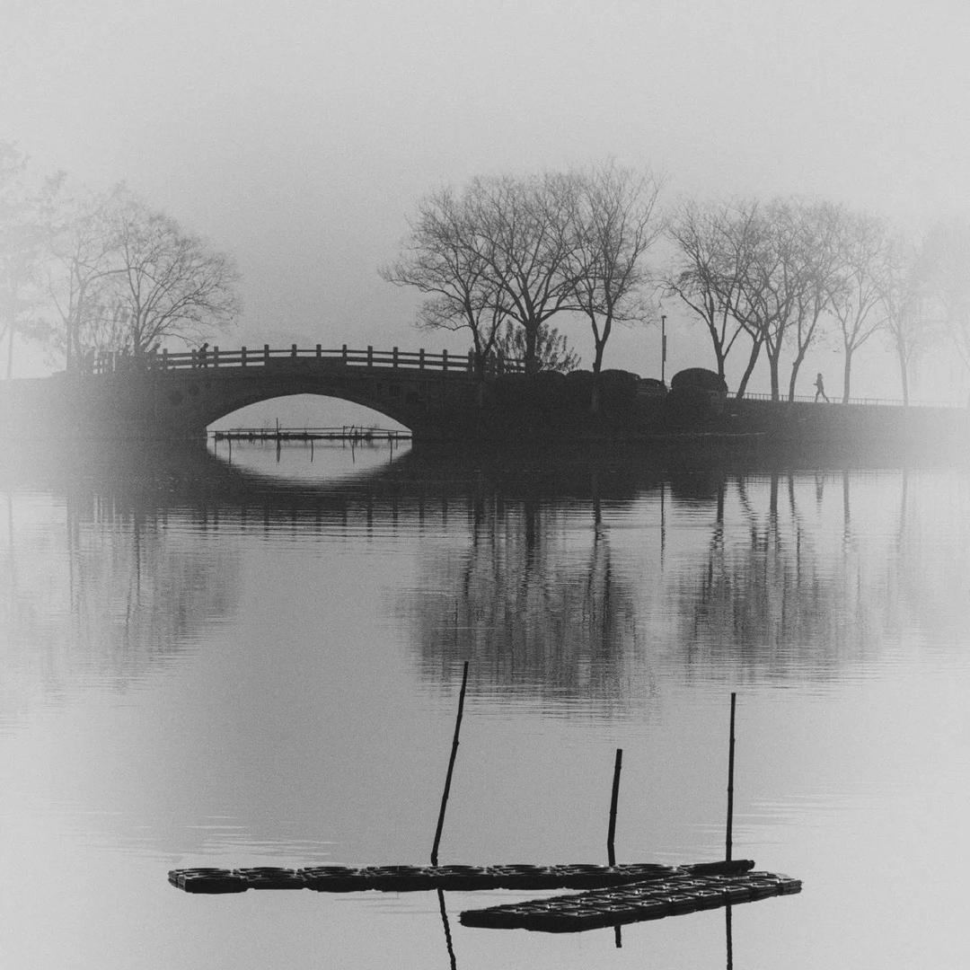 天津市花叶蒂ut直播号