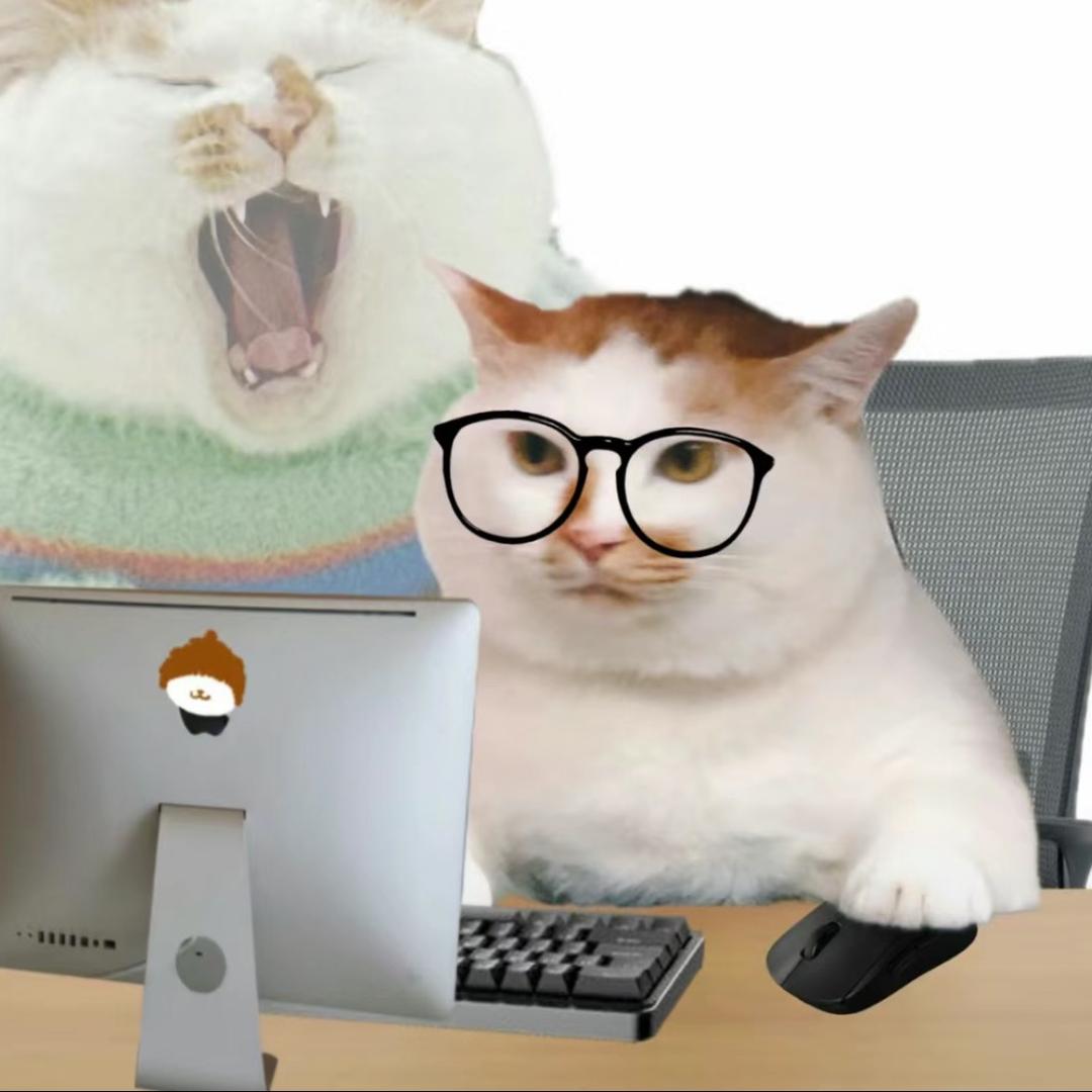 猫meme的小故事