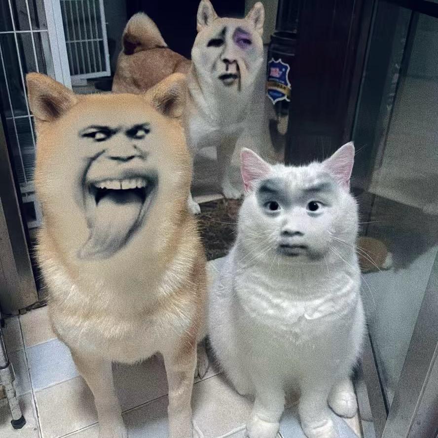 绿谷吧头像