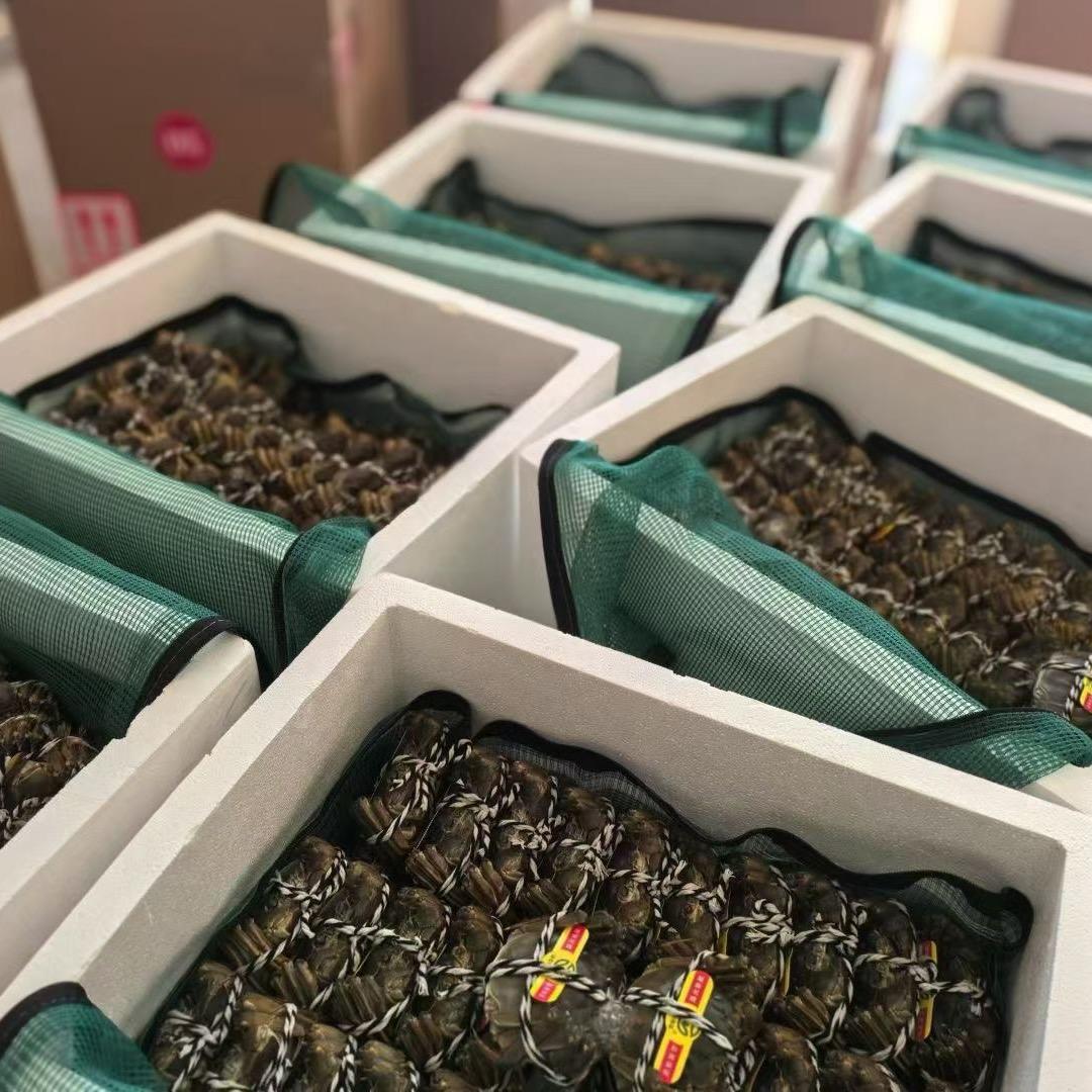 博生水产供应链有限公司