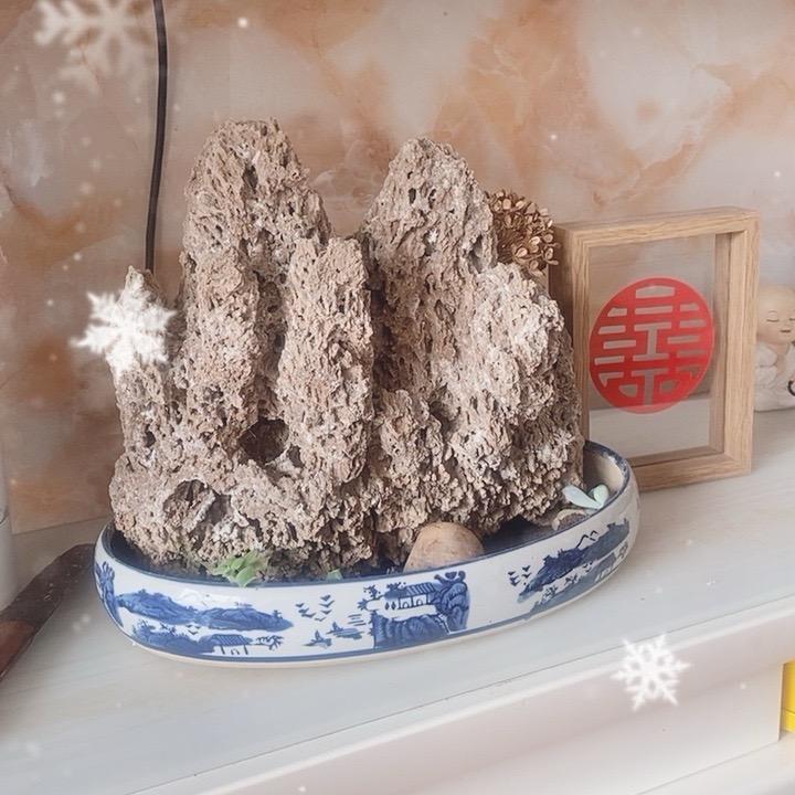 阳光哥