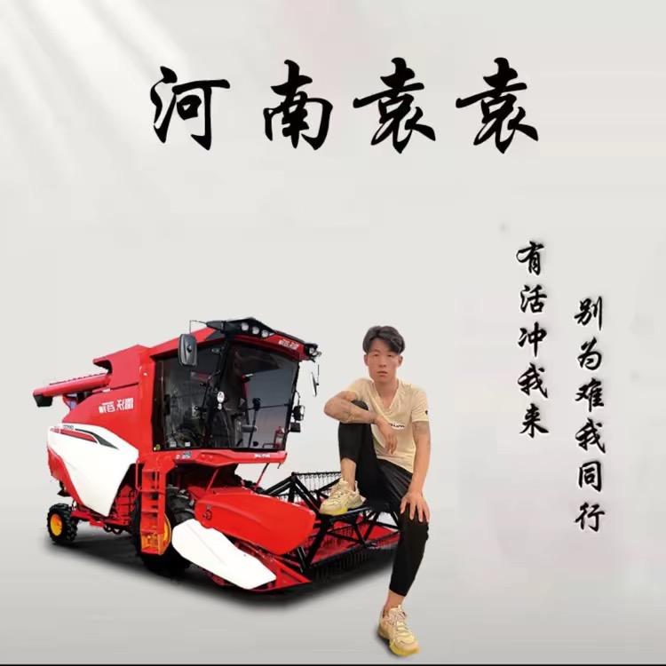 河南袁袁