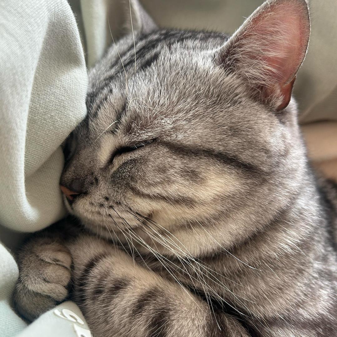 ￴￴￴￴￴ ￴￴ ￴