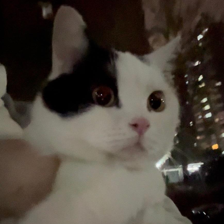 京圈三少·刘太安