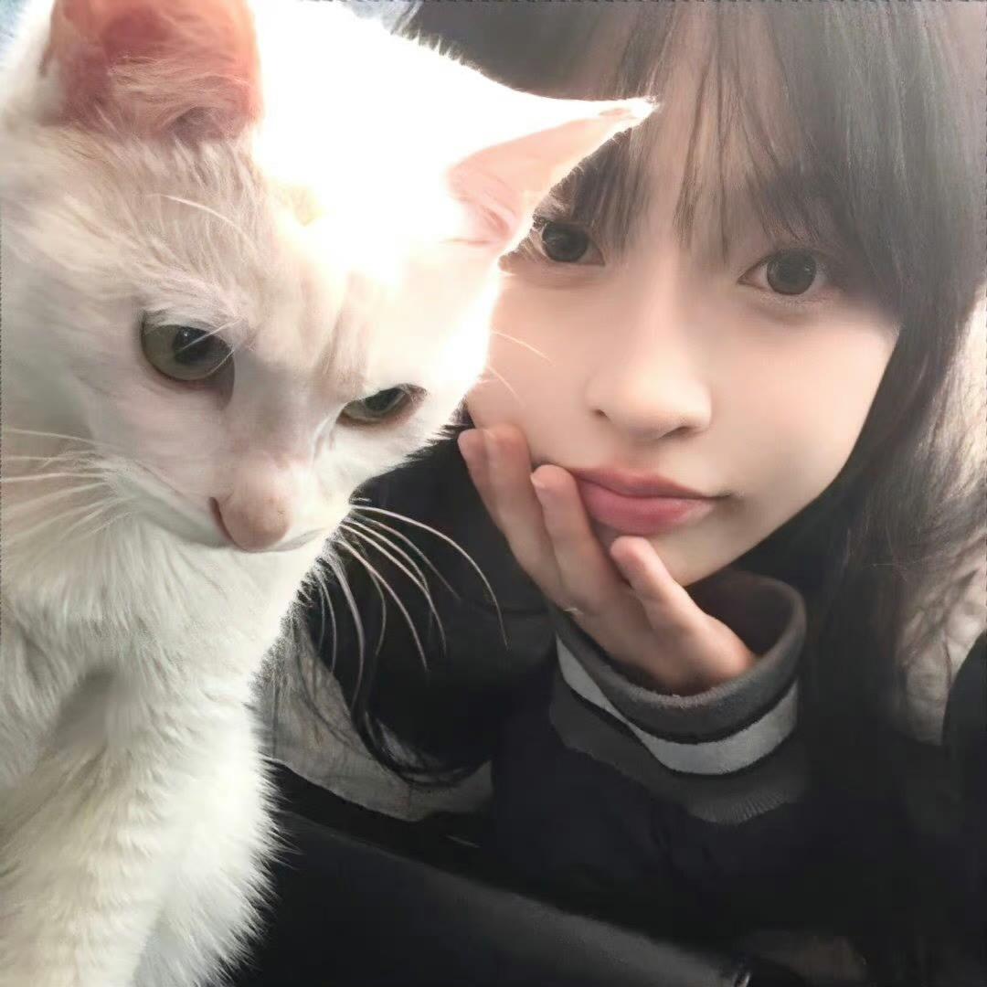 鱿鱼卷大王