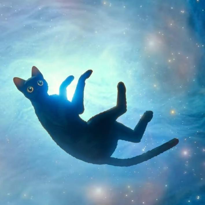 小气猫想养小狗（摸到鱼尾版