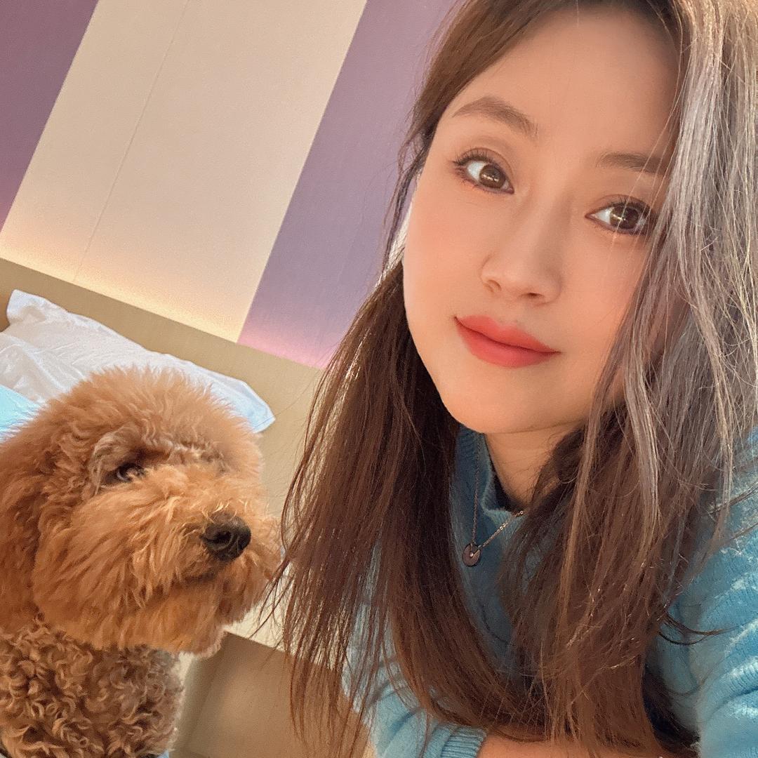 单丹♡