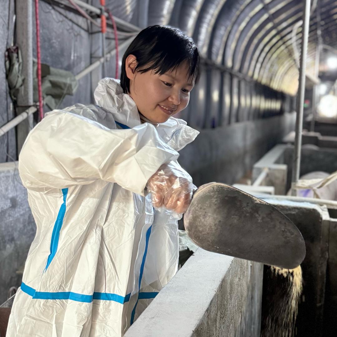 画猪姐畜牧养殖企业店