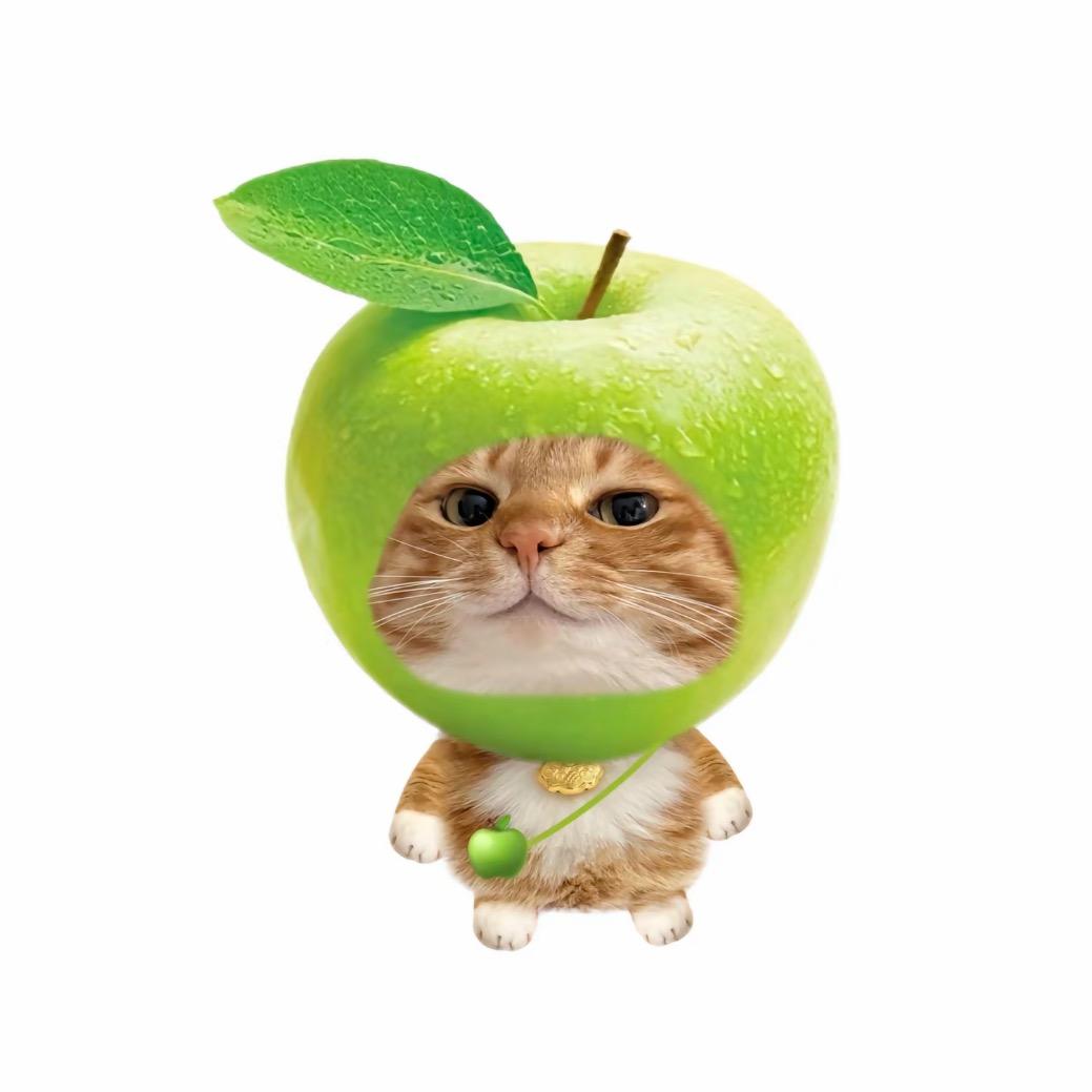 03.25