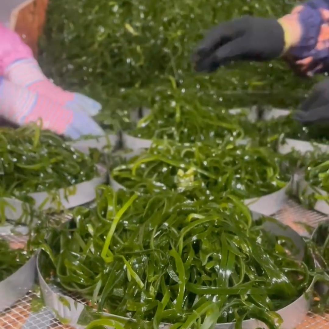 久鲜甄选