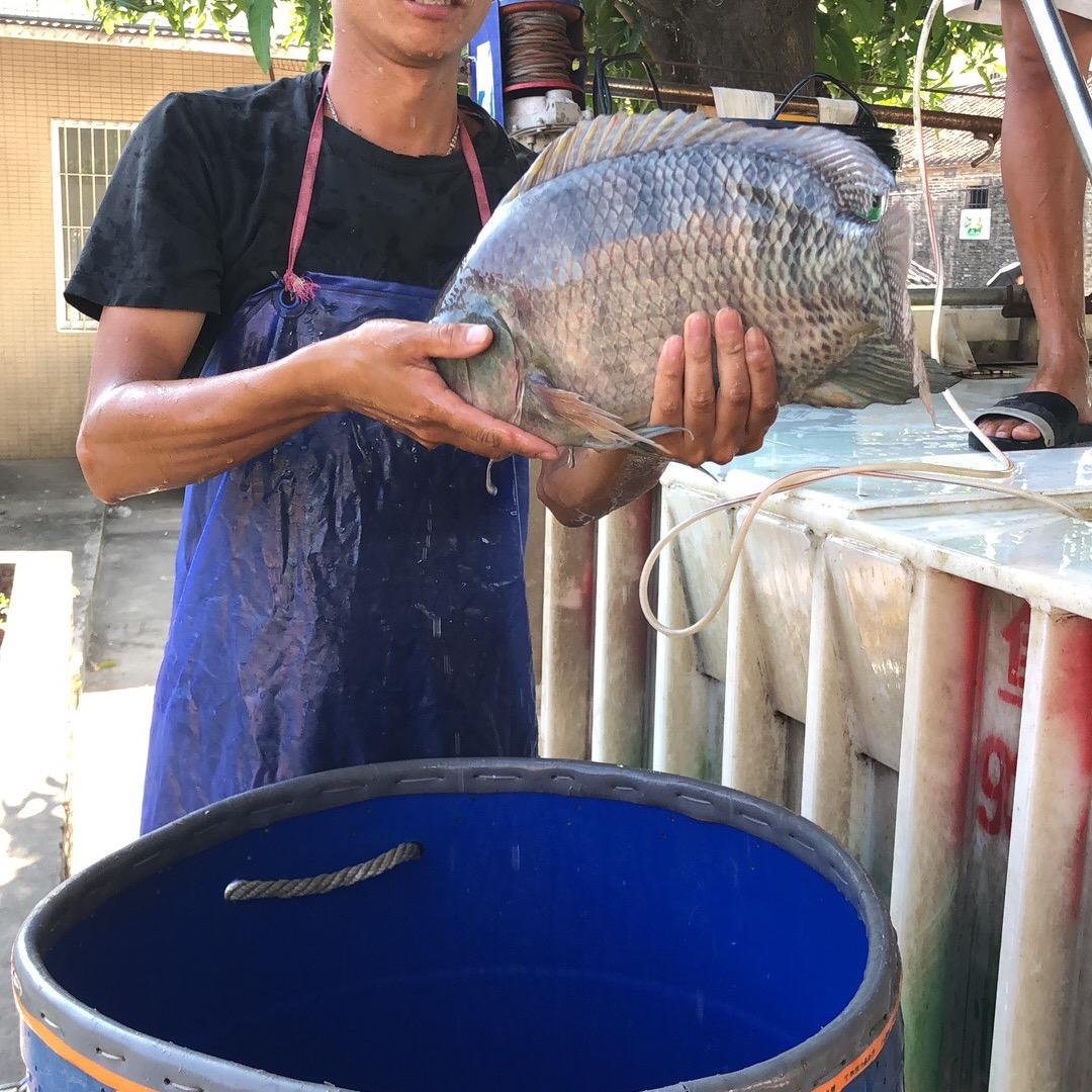 阮肥仔垂钓服务中心