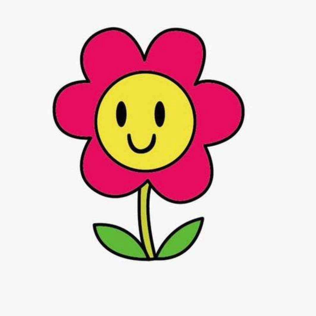 送你一朵小花🌸