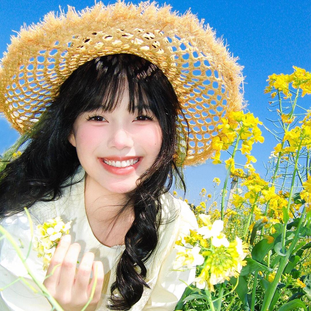 小燕子
