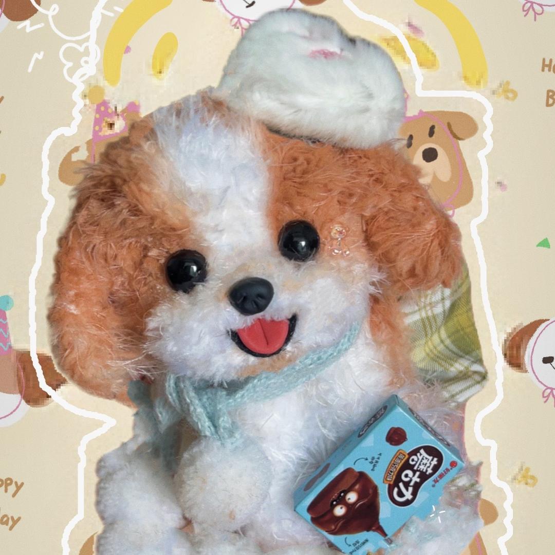 NIUNIU Pet
