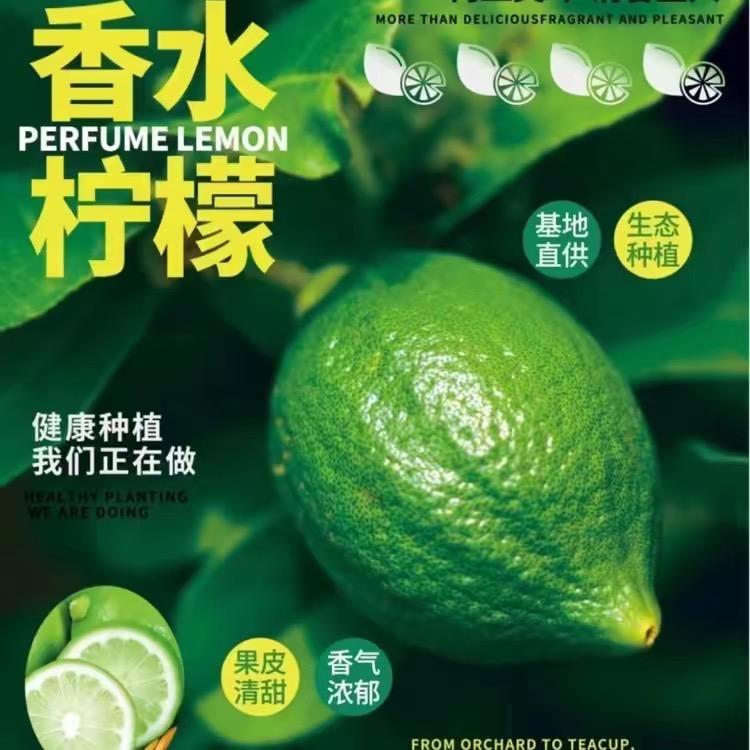 粤上鲜(香水柠檬) 广州/增城