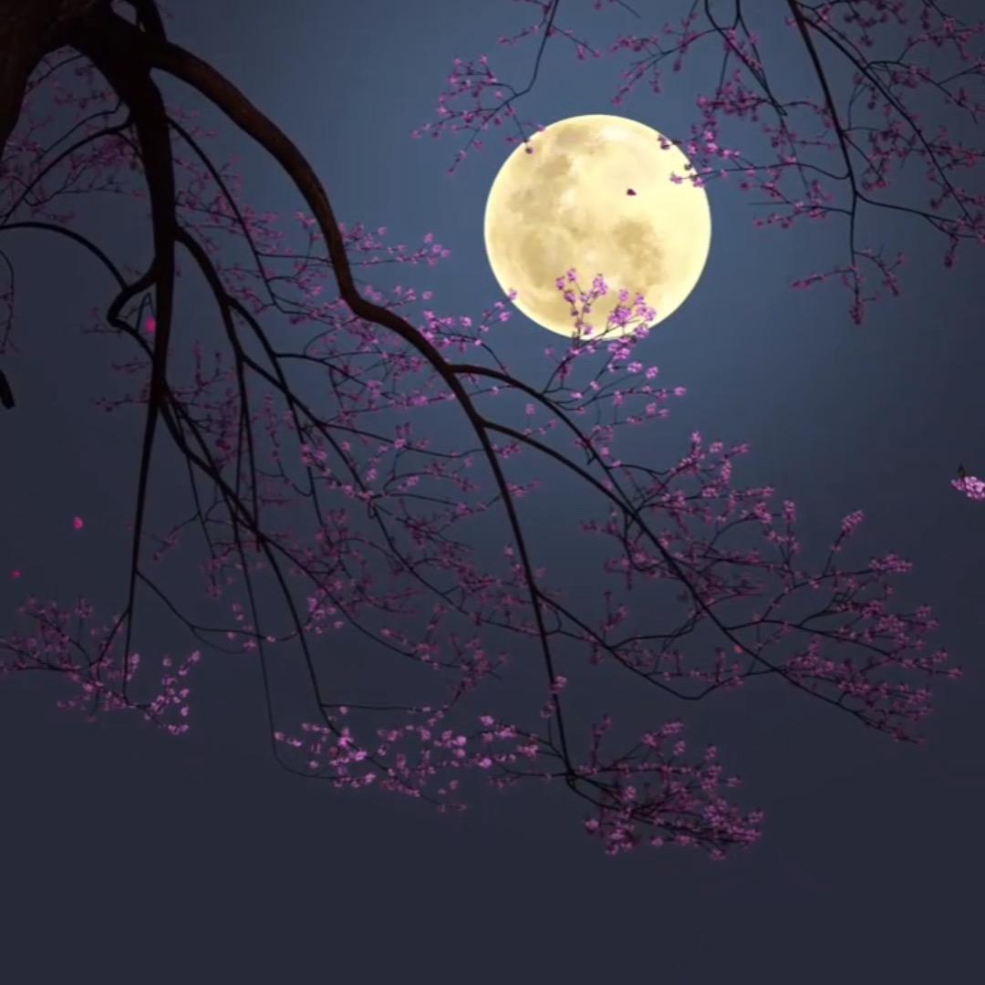 এ᭄ 凌晨一点້໌ᮨ ꦿ