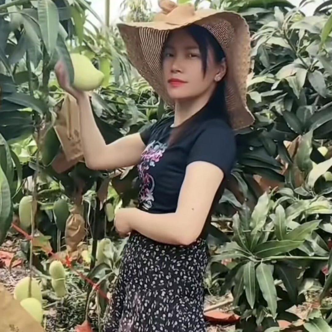 娟子鲜速达