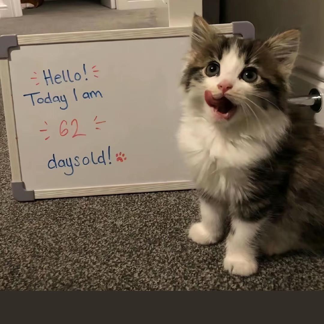 我懂得珍惜上天给予我身边的每一个“礼物”