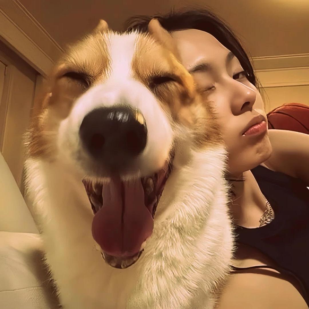 绿豆豆