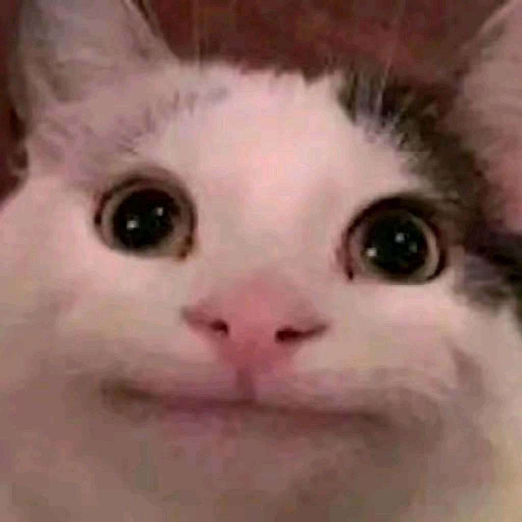 小鲁同志