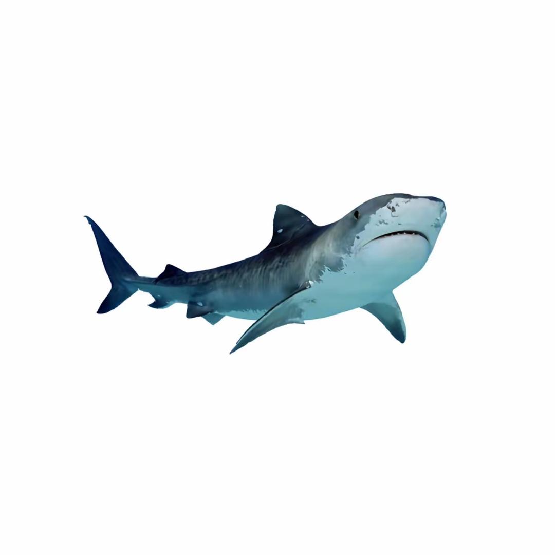 f🐟i🐟s🐟h