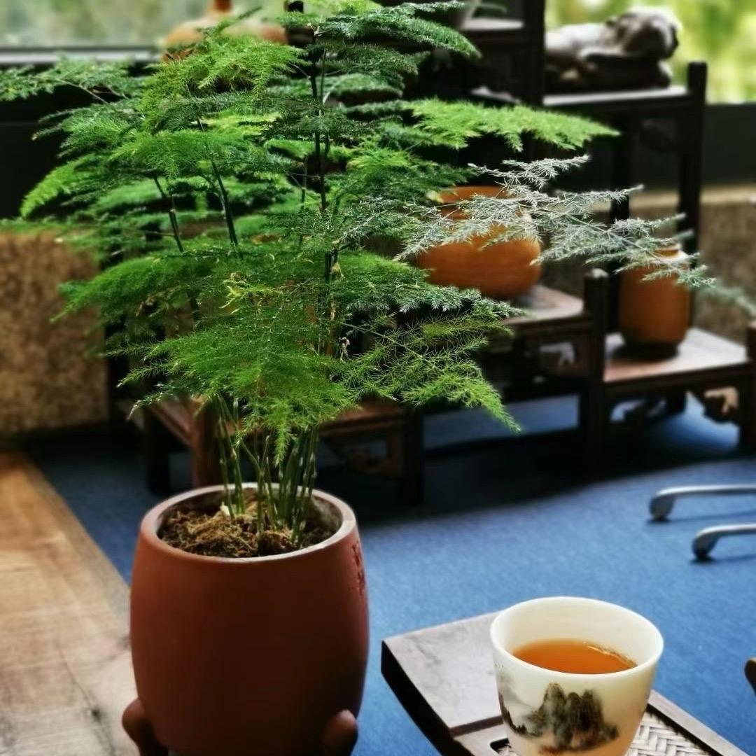 福州一手、二手房买卖