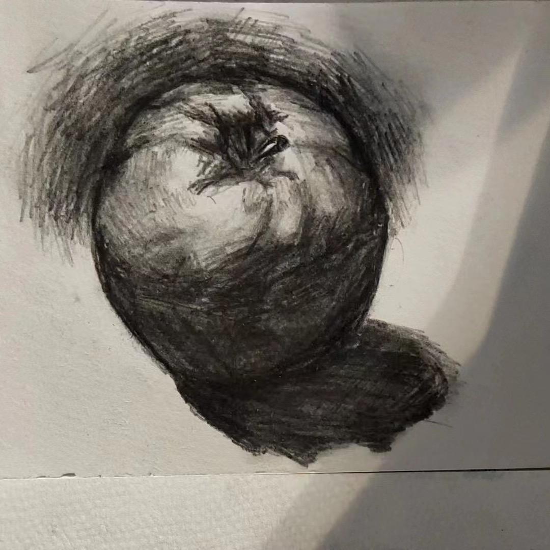 菠萝蜜