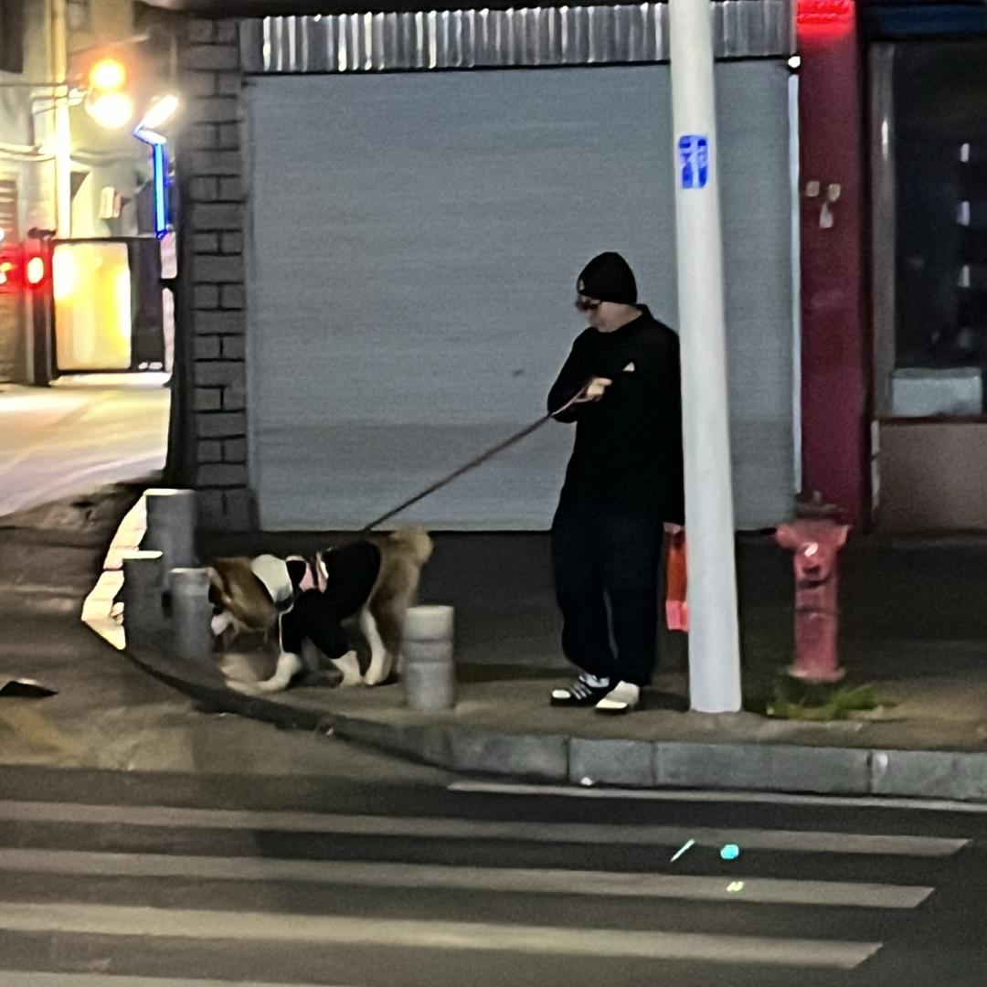 DOGLI