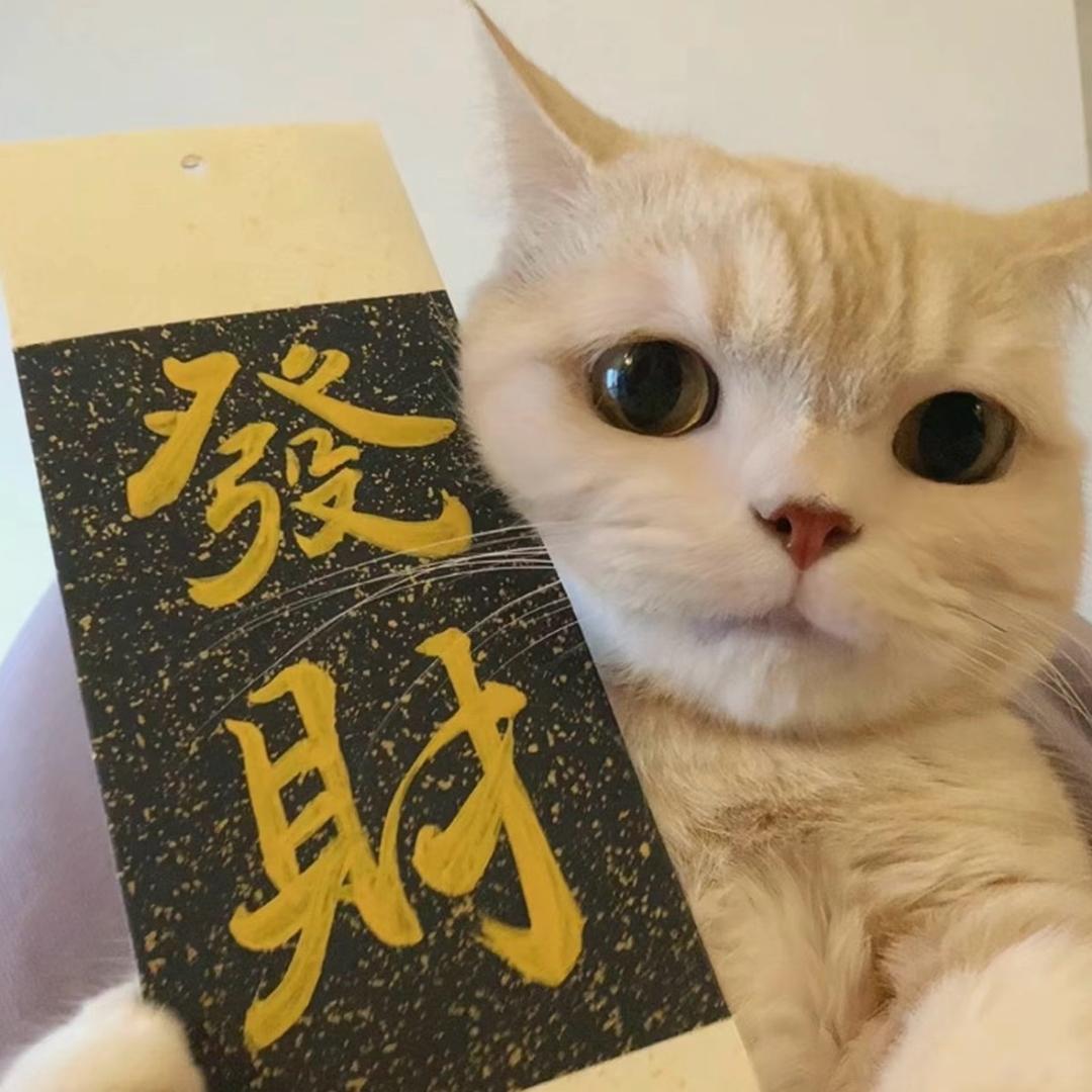 小星阅读