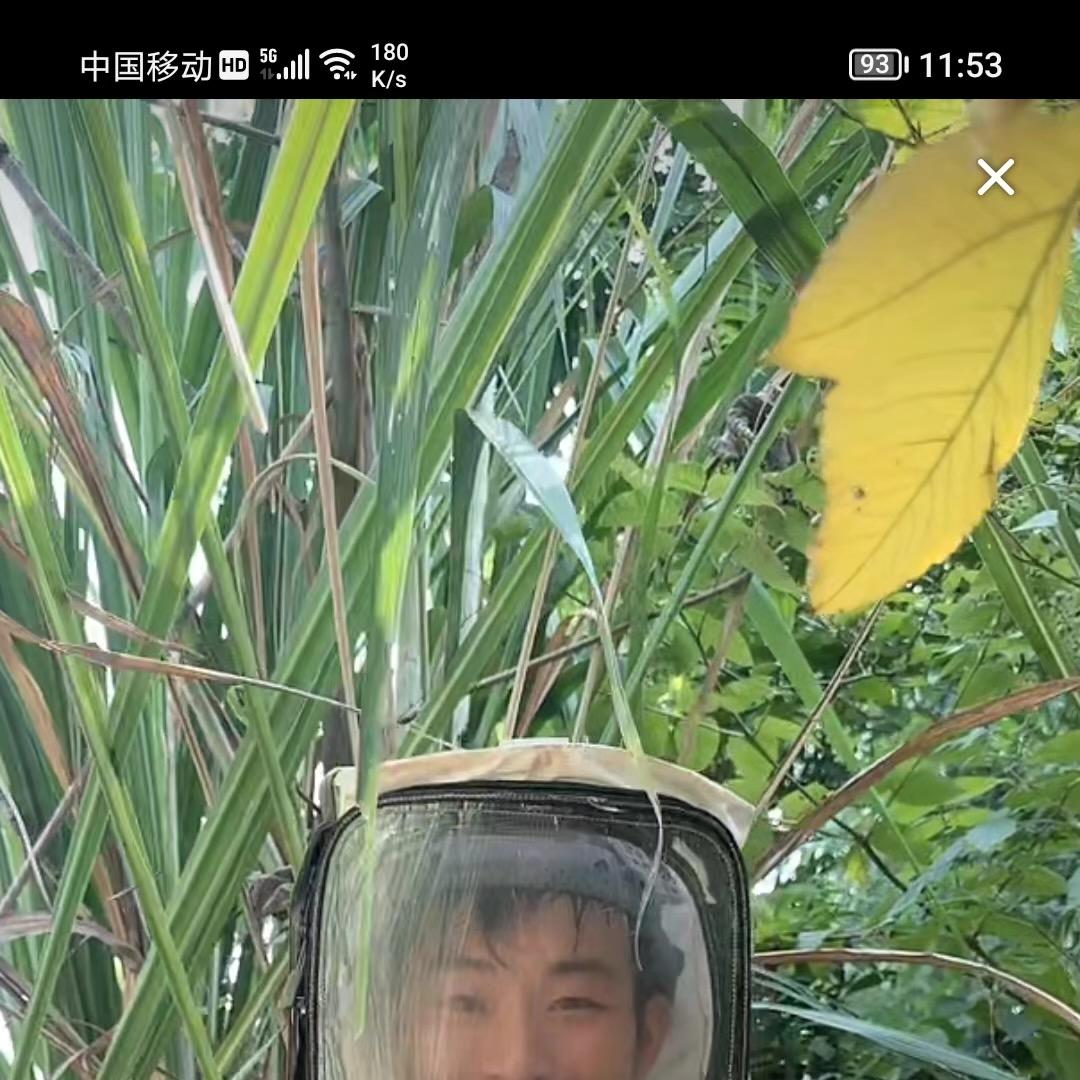 沙杆乡野