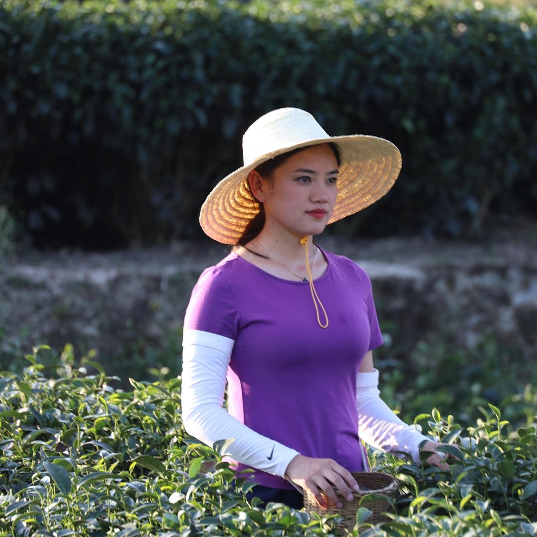 咸丰白茶李丹