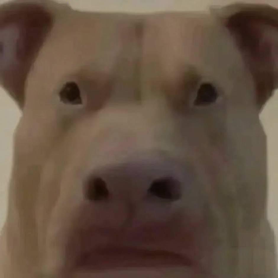 举你杯（云顶之弈）