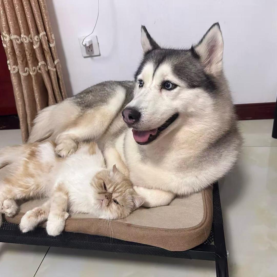 维