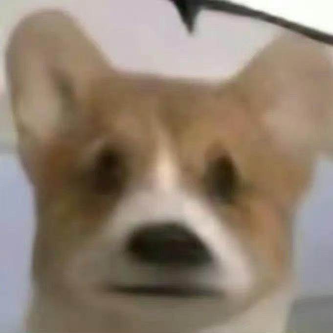 肉干