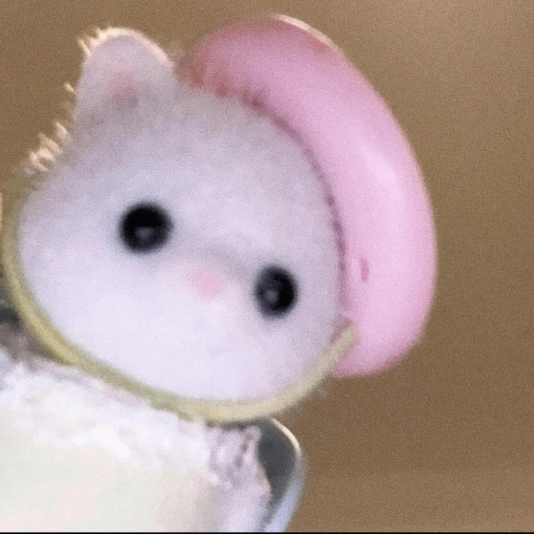 豆