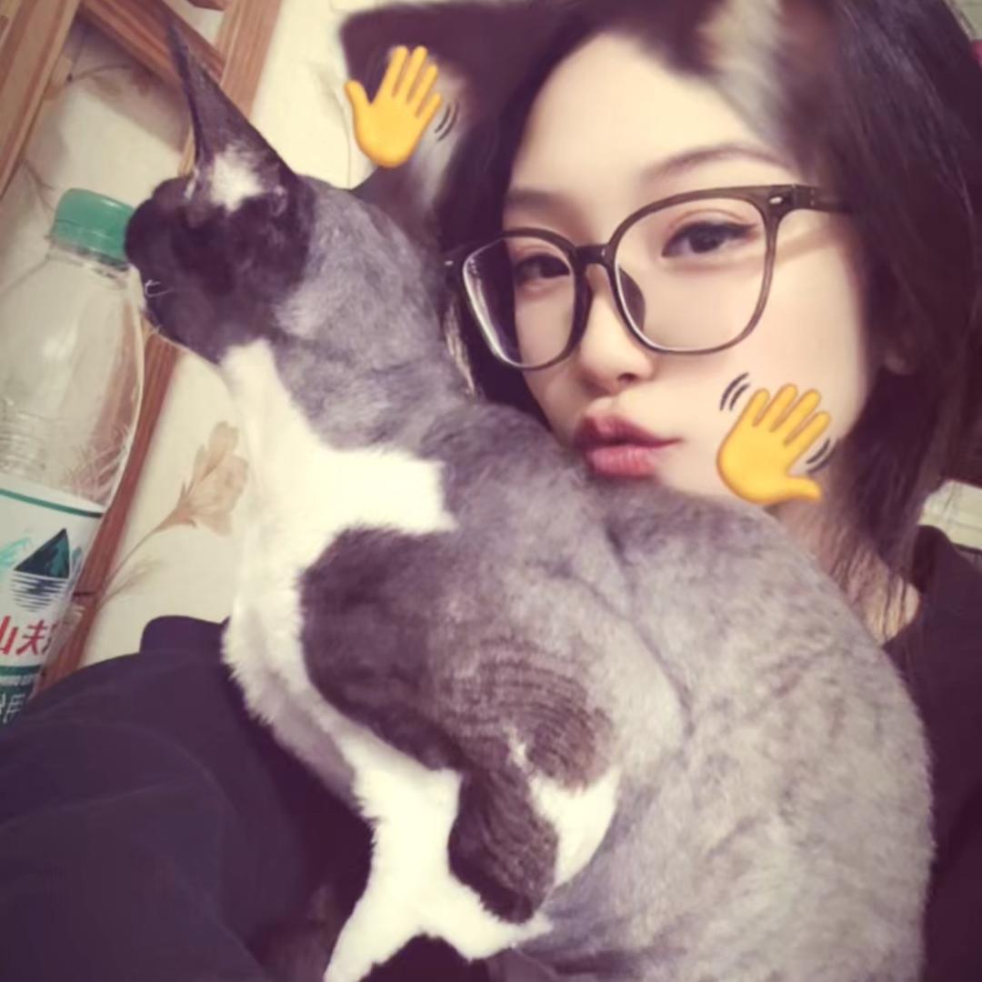 段