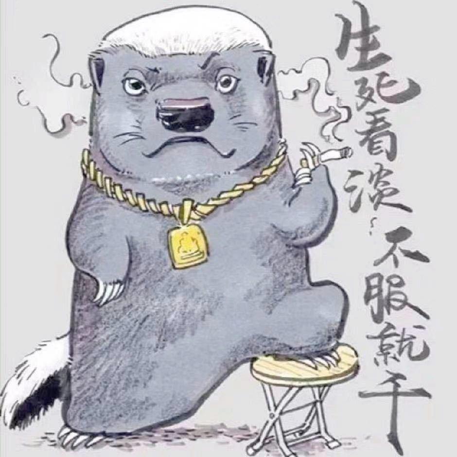 杨 ㅤㅤ