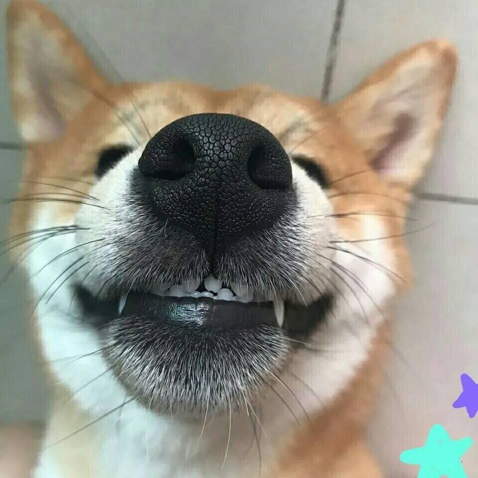 成熟稳重唐小贱